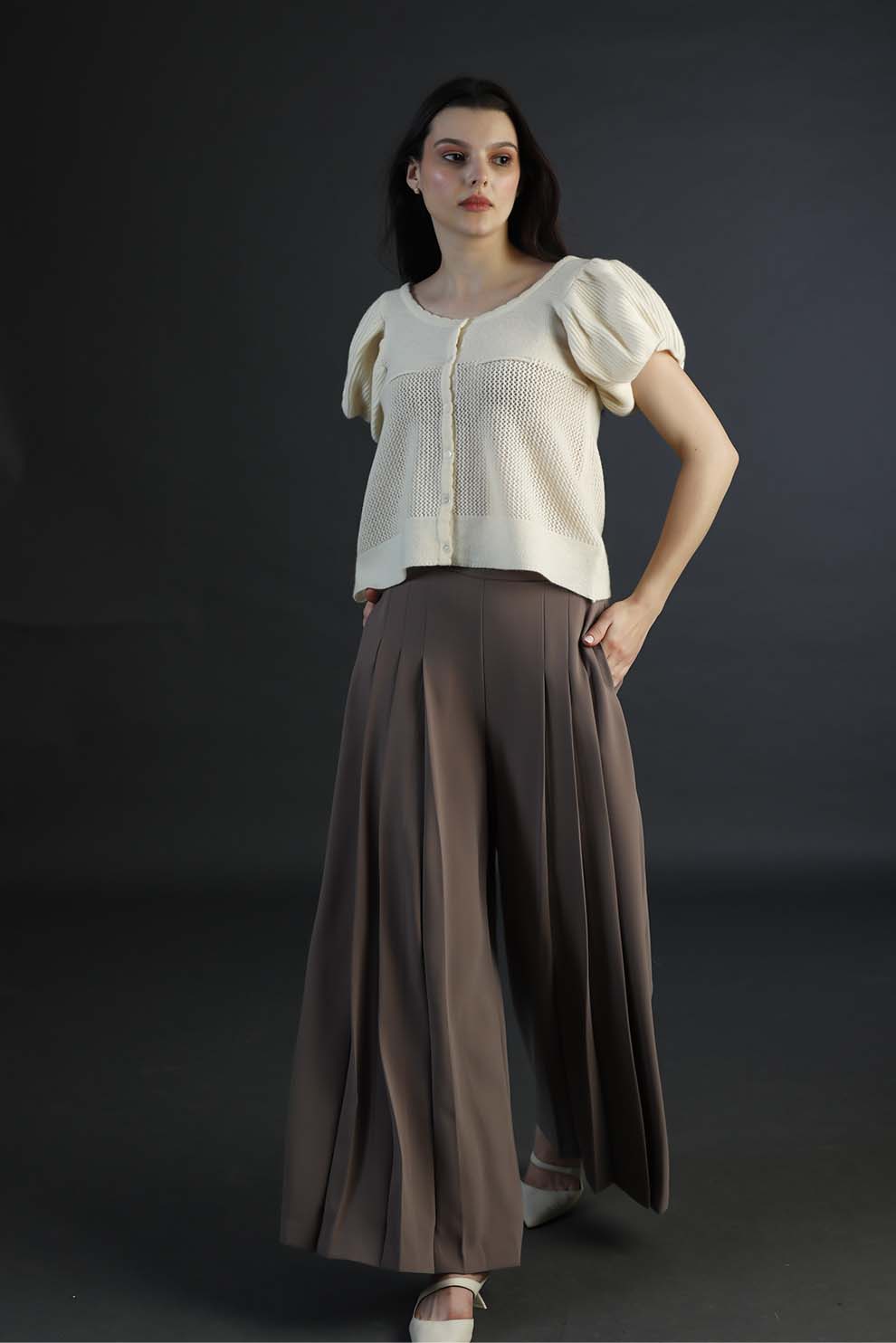 Brown Pleated Pants