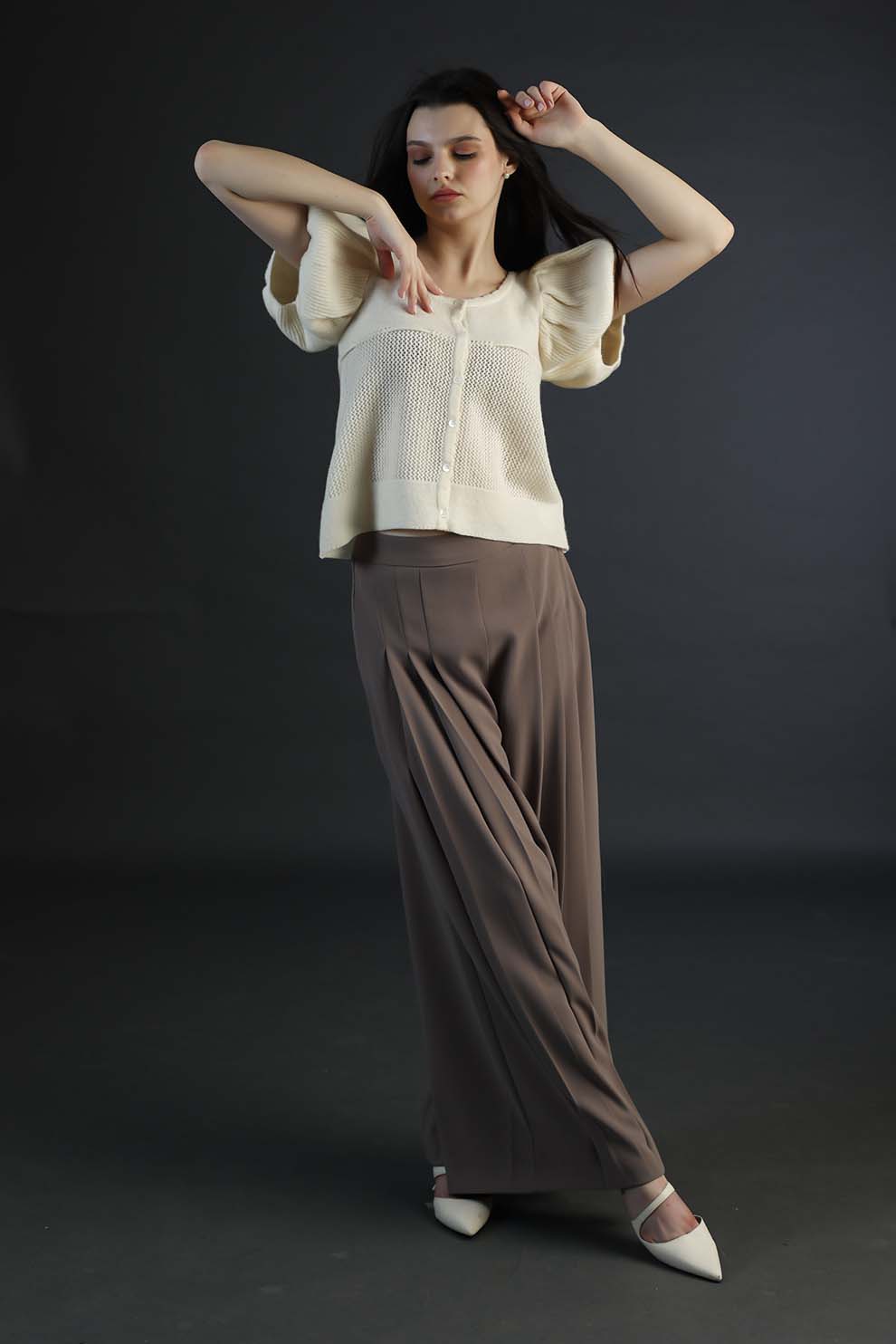 Brown Pleated Pants