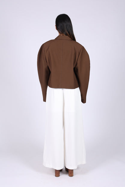Brown Jacket