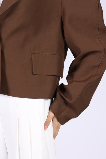 Brown Jacket