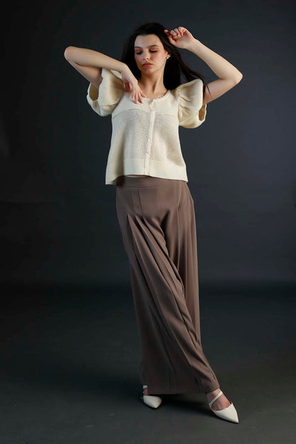 Brown Pleated Pants
